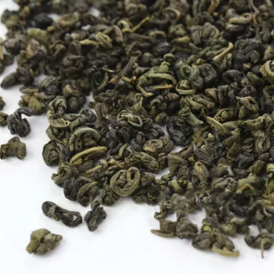 OEM de thé vert en poudre de bourgeons frais en gros