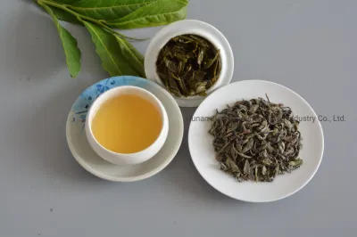 Thé biologique premium Green Tea Factory Op 9101