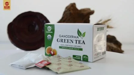 Échantillon gratuit Premium haute qualité en gros 100% biologique Reishi champignon Lingzhi extrait vert sachet de thé Ganoderma thé