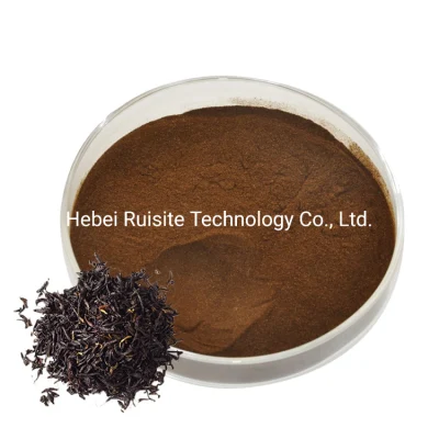 100 % poudre d'extrait de thé noir instantané biologique de haute qualité