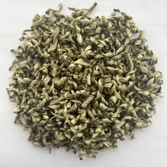 Thé vert de haute montagne Premium fait à la main Xue Long Snow Dragon Tea