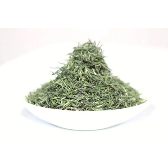 Thé vert de Chine Feuilles de thé vert Maojian biologique de qualité supérieure de haute qualité